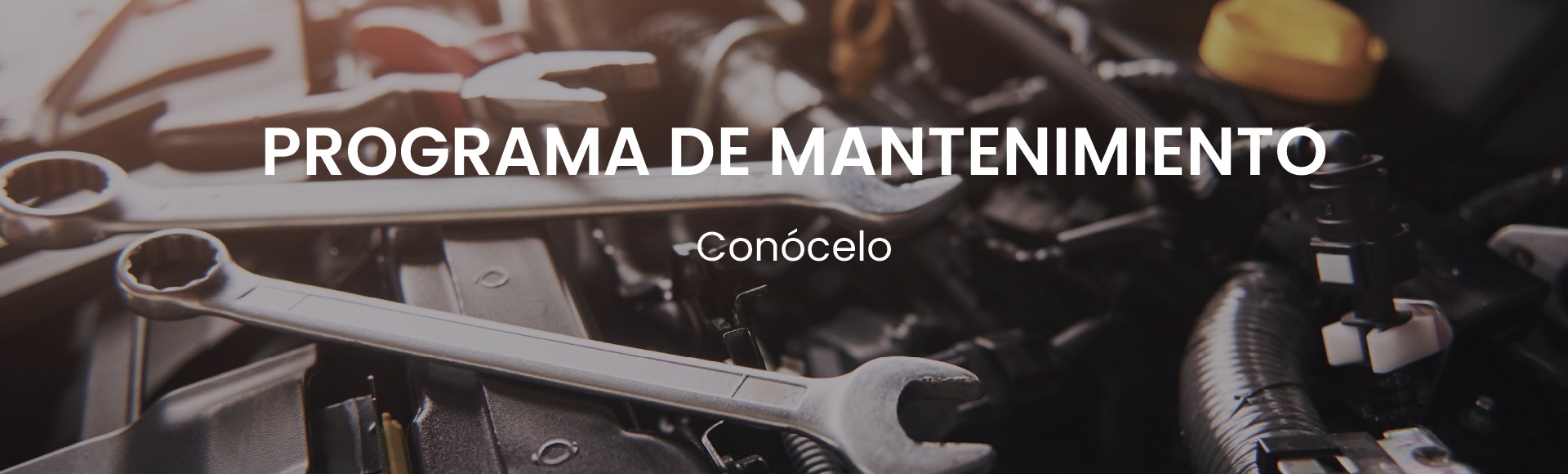 Programa de Mantenimiento